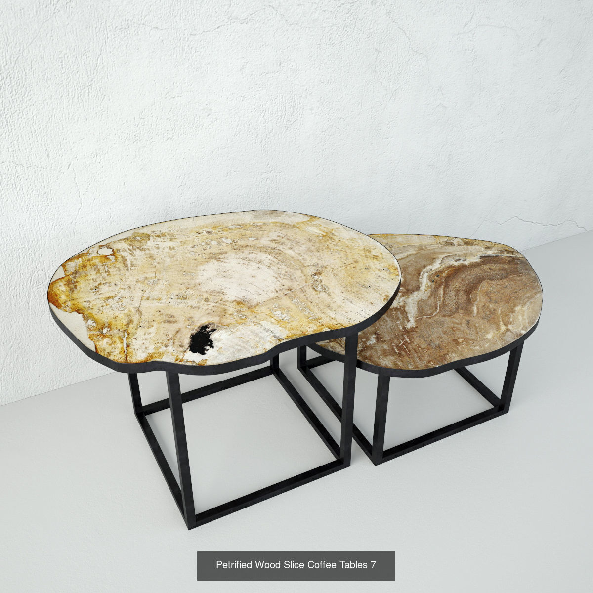 Petrified Wood Slice Coffee Tables collection _5