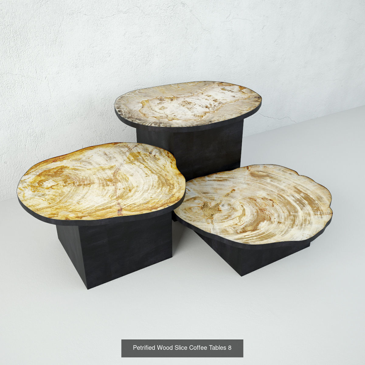 Petrified Wood Slice Coffee Tables collection _10