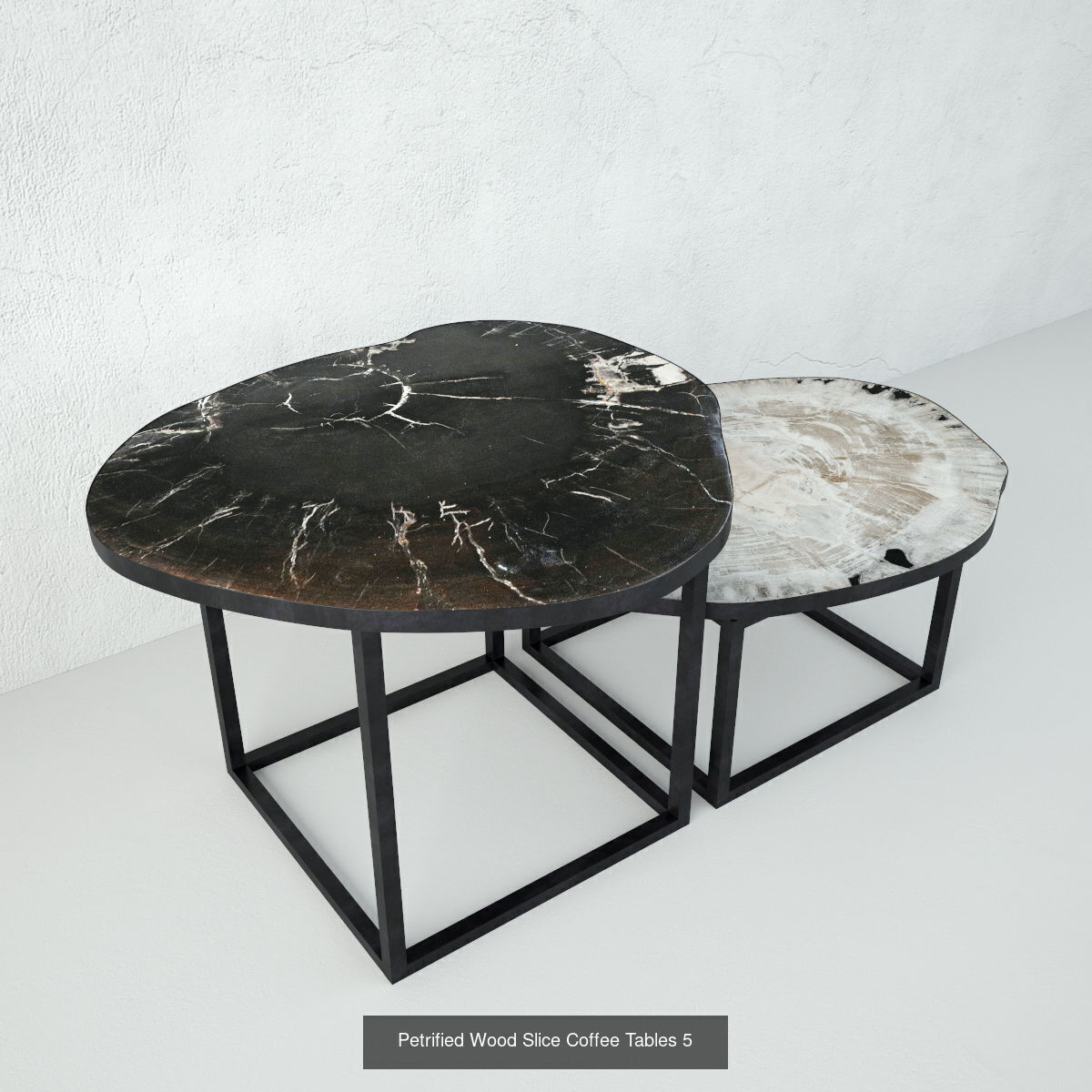 Petrified Wood Slice Coffee Tables collection _8