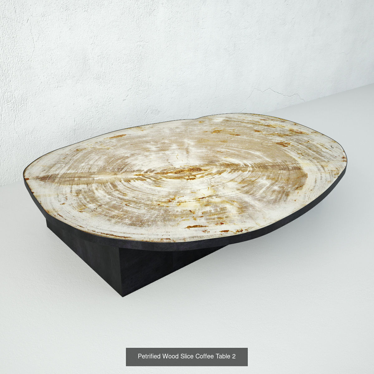 Petrified Wood Slice Coffee Tables collection _2