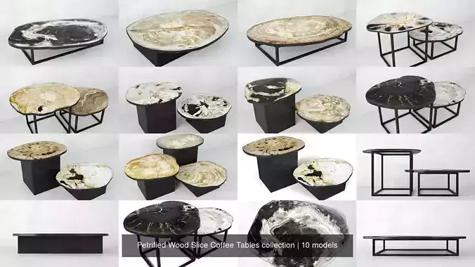 Petrified Wood Slice Coffee Tables collection 