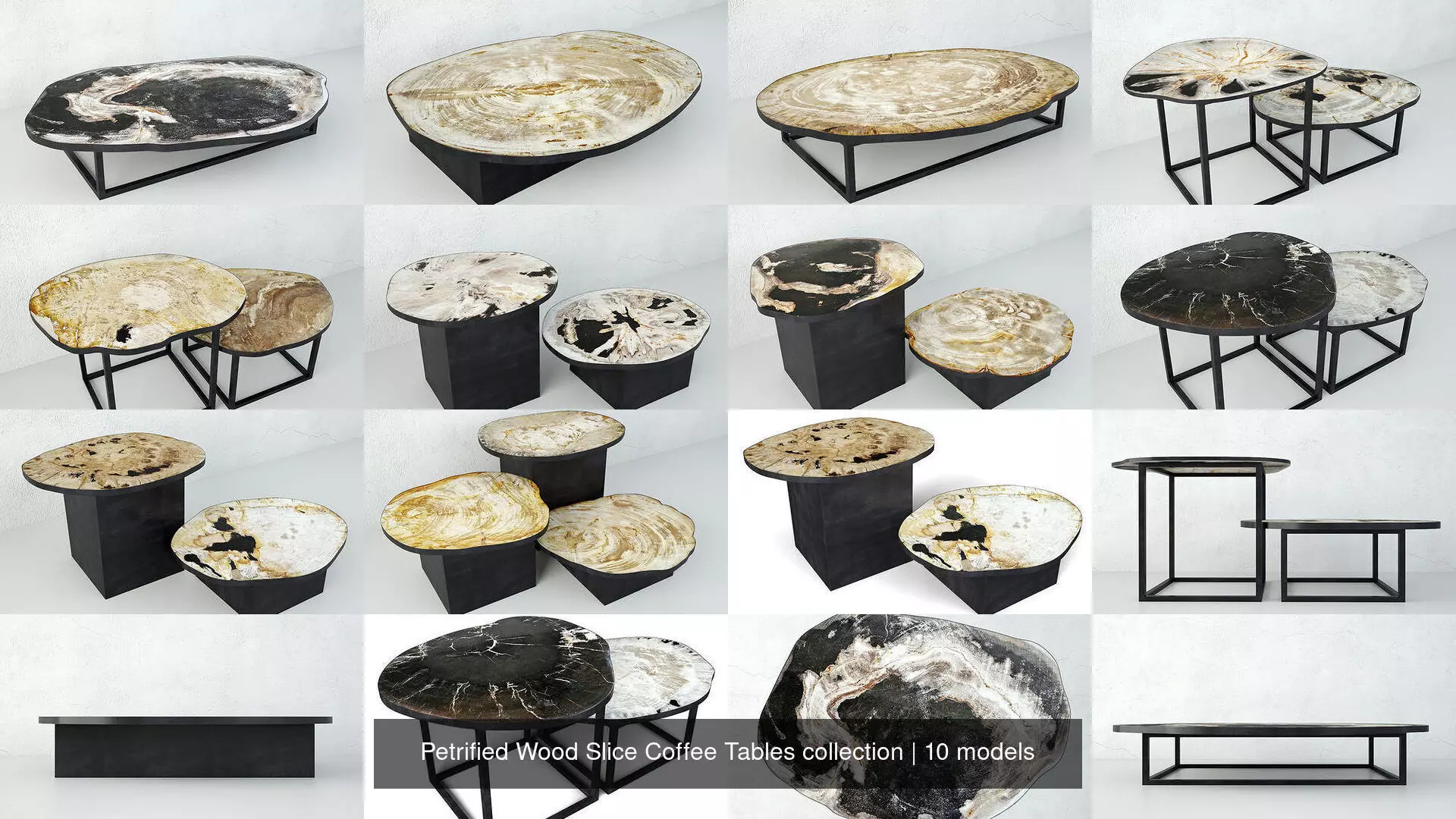 Petrified Wood Slice Coffee Tables collection _0