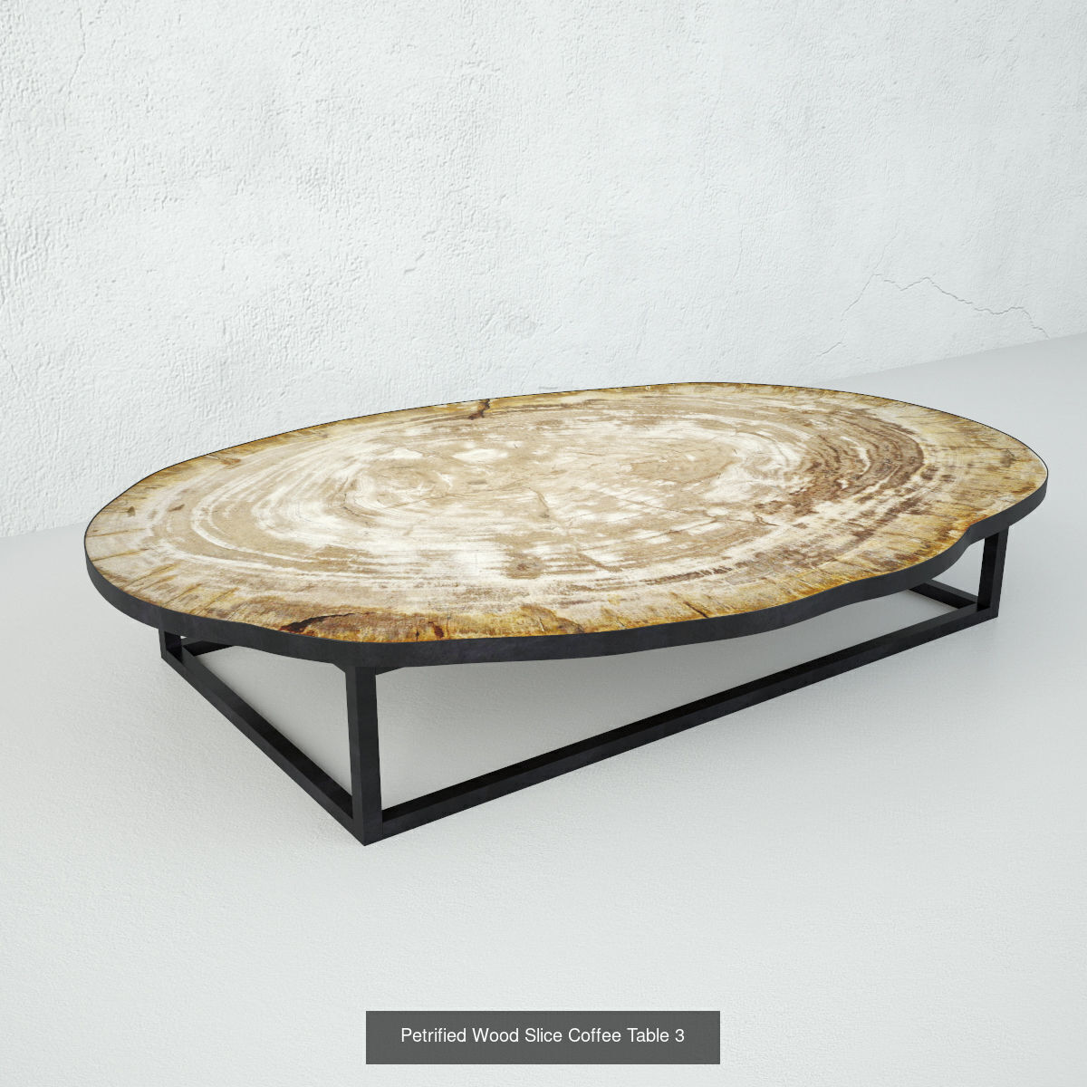 Petrified Wood Slice Coffee Tables collection _3