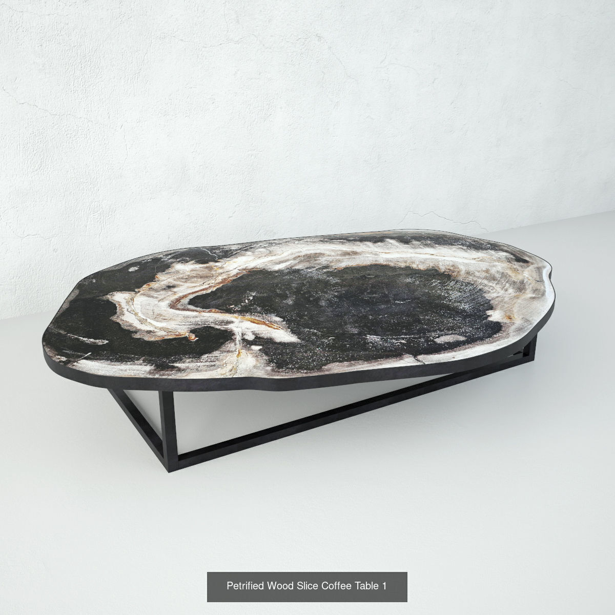 Petrified Wood Slice Coffee Tables collection _1