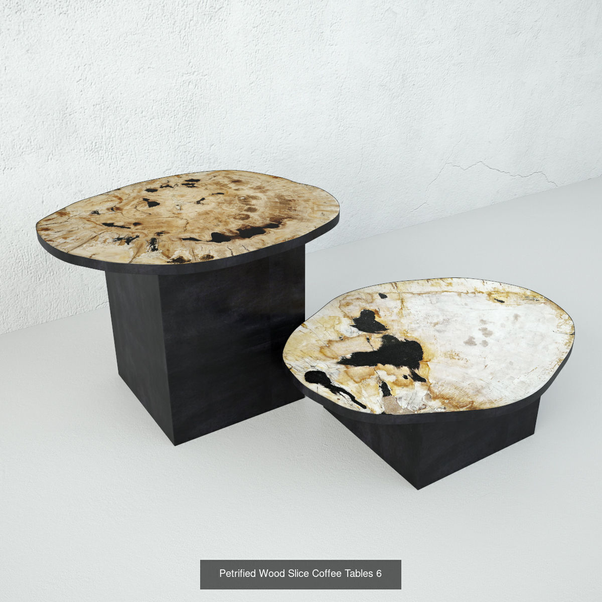 Petrified Wood Slice Coffee Tables collection _9
