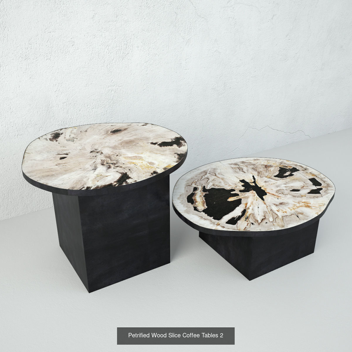 Petrified Wood Slice Coffee Tables collection _6