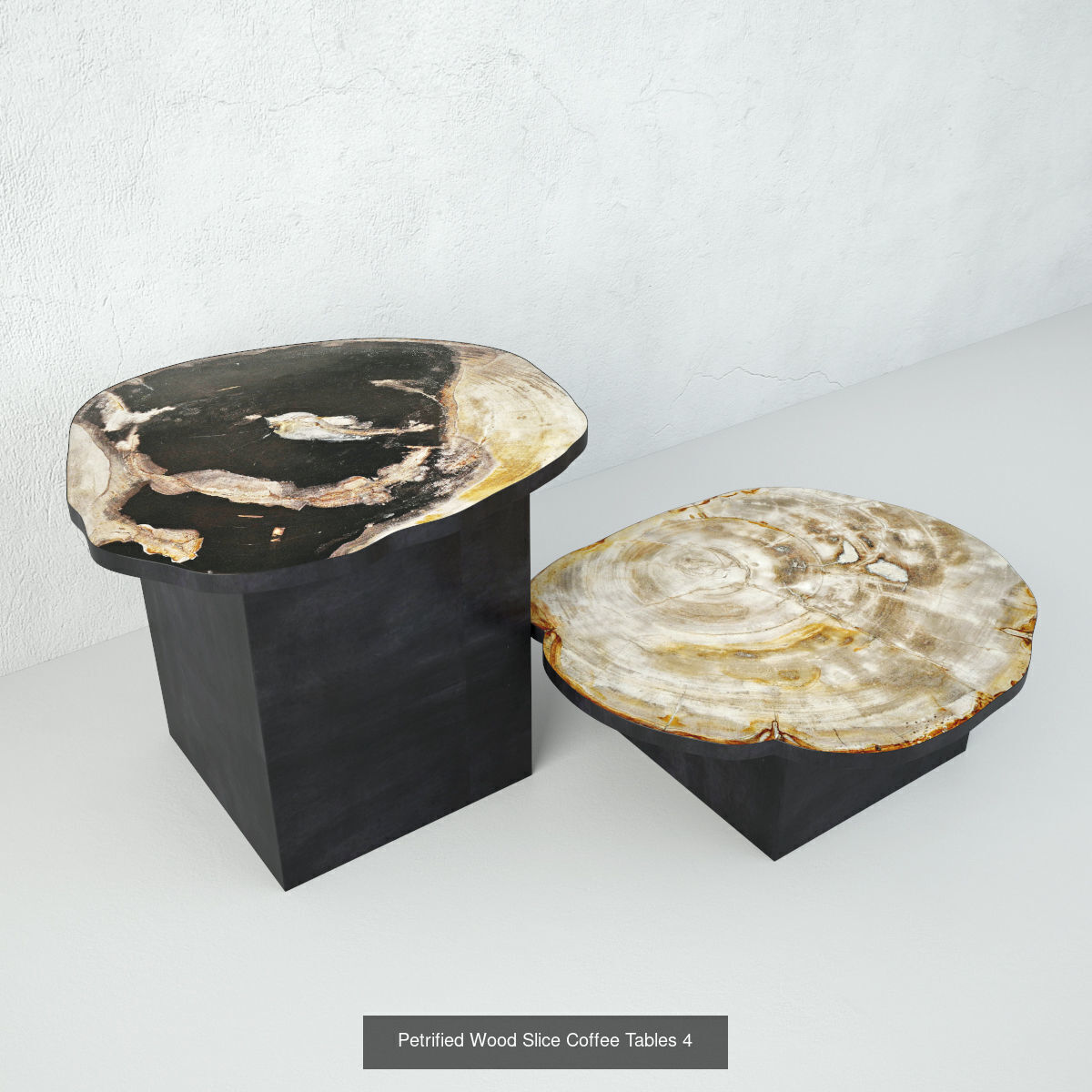 Petrified Wood Slice Coffee Tables collection _7