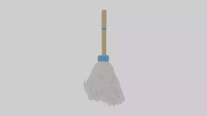 Cartoon Mop