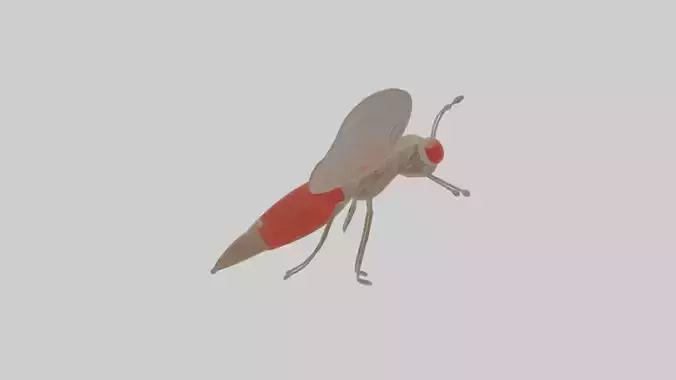 Cartoon Mosquito