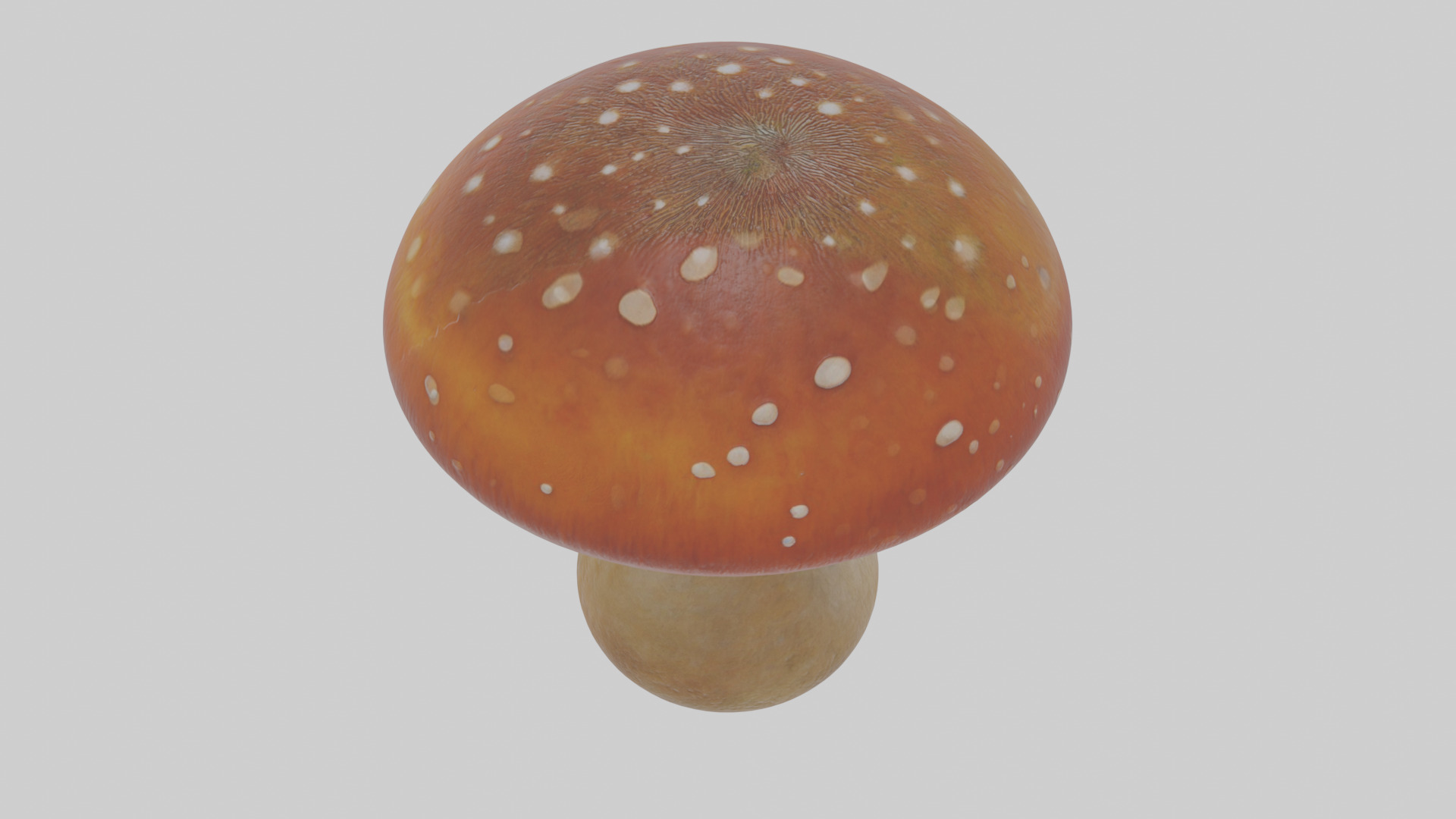 Cartoon Mushroom Low-poly 3D model_25