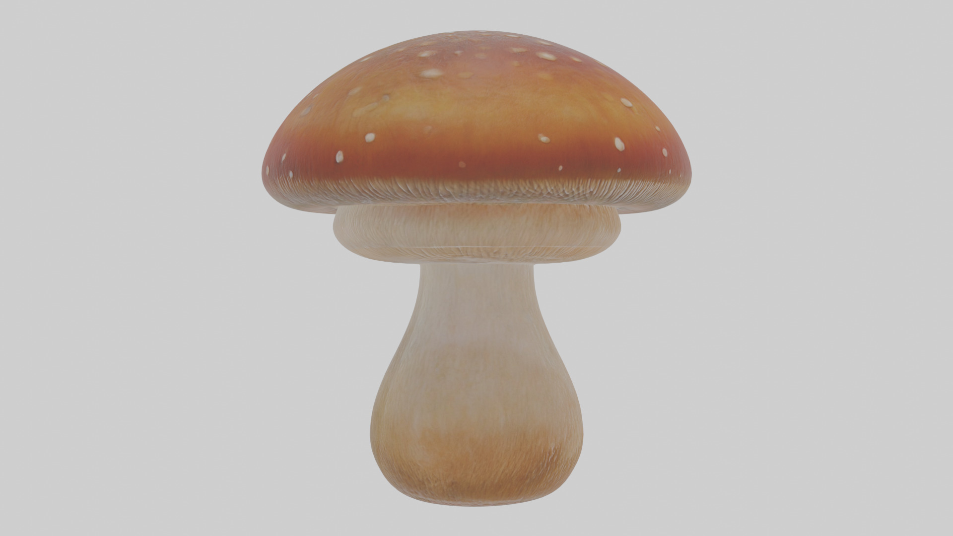 Cartoon Mushroom Low-poly 3D model_2