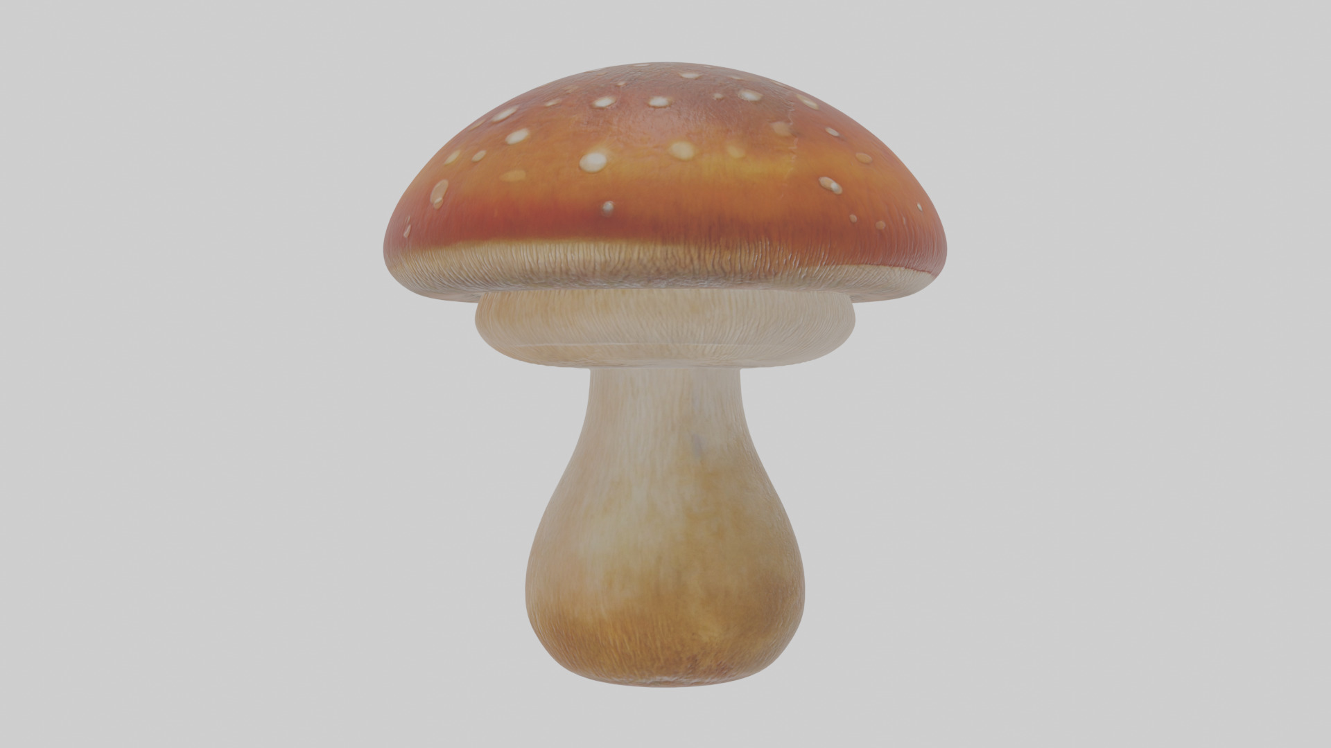 Cartoon Mushroom Low-poly 3D model_21