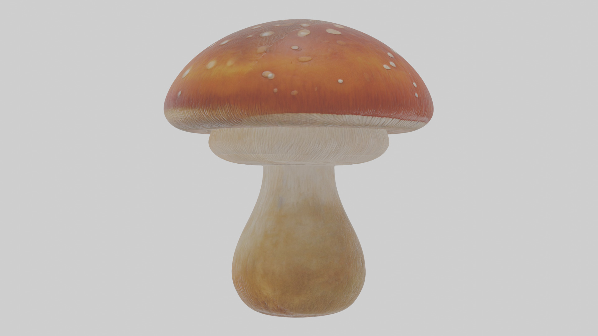 Cartoon Mushroom Low-poly 3D model_18