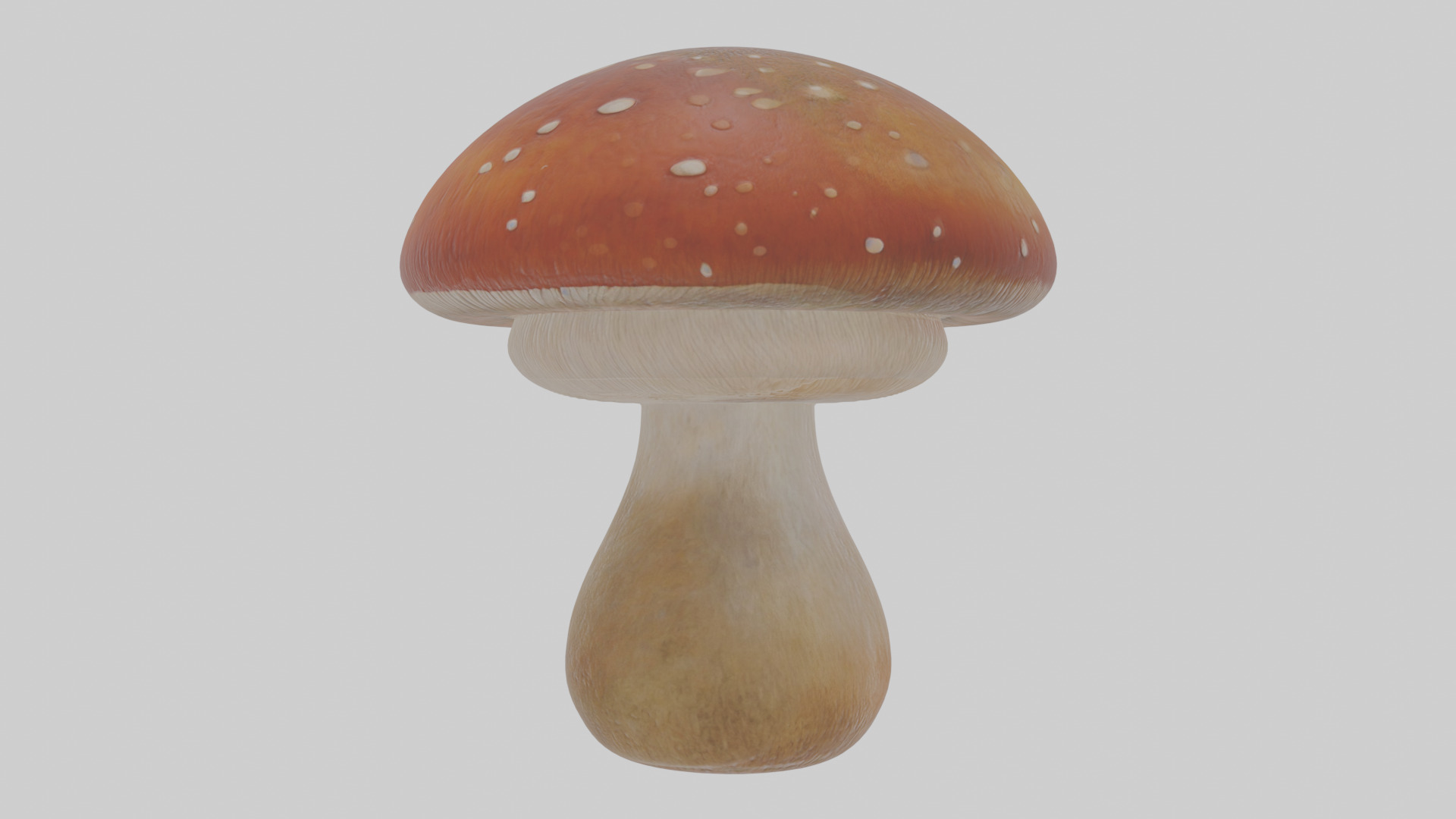 Cartoon Mushroom Low-poly 3D model_16