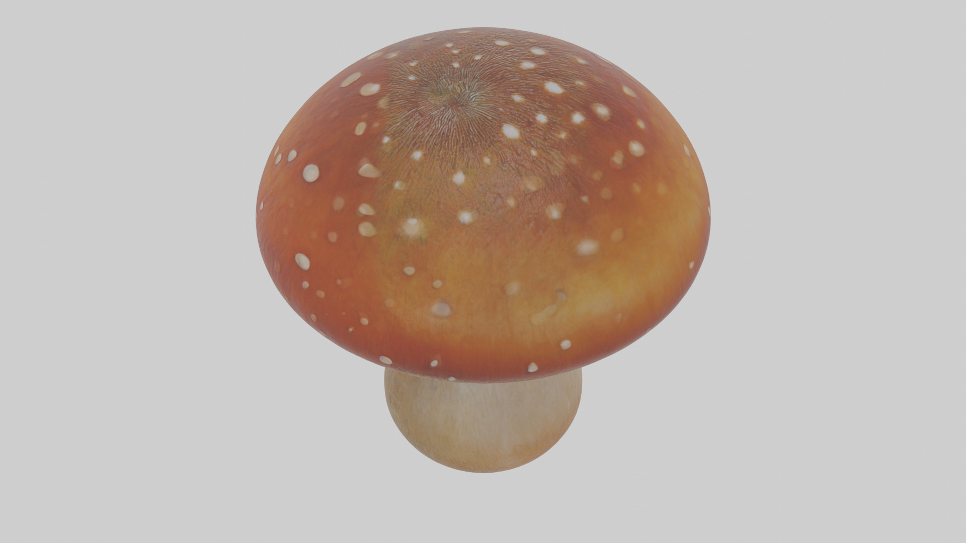 Cartoon Mushroom Low-poly 3D model_26