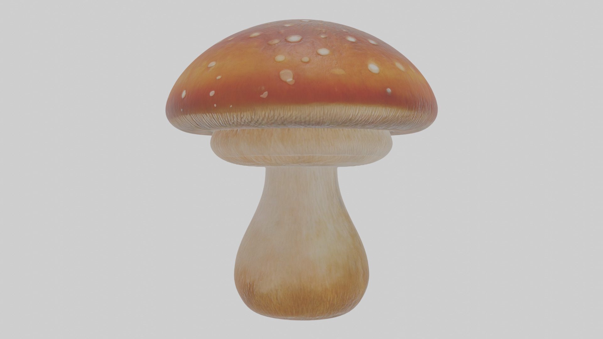 Cartoon Mushroom Low-poly 3D model_3