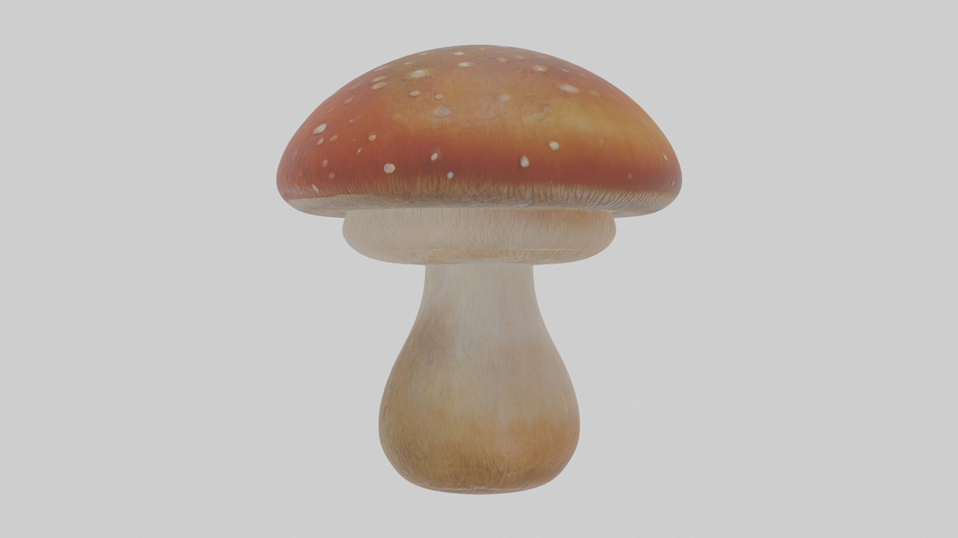 Cartoon Mushroom Low-poly 3D model_20