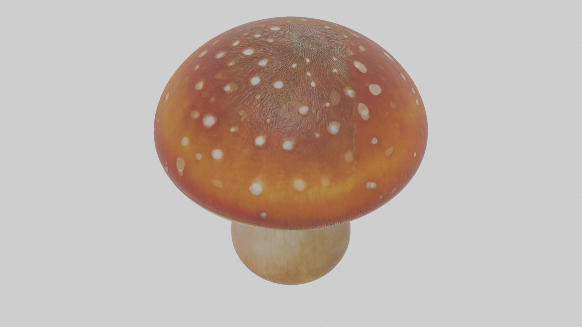 Cartoon Mushroom Low-poly 3D model_27
