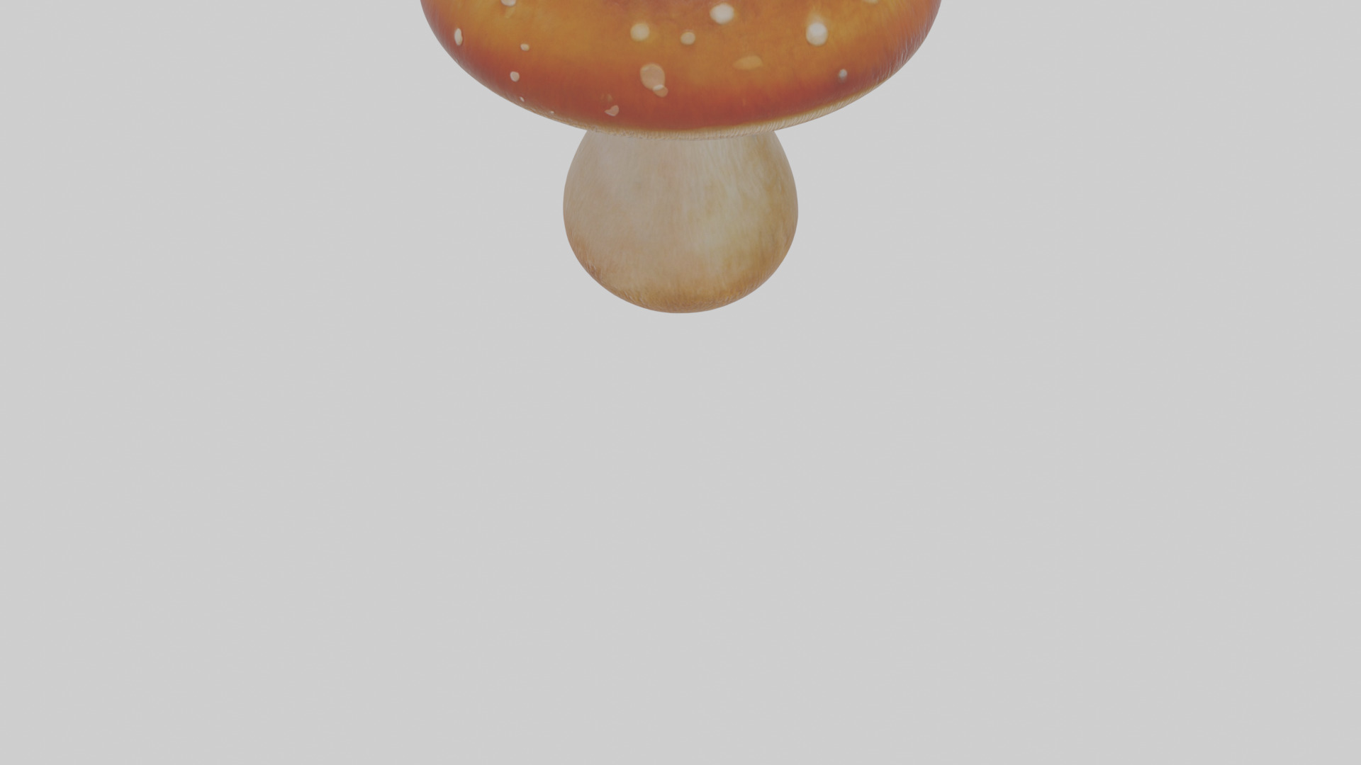 Cartoon Mushroom Low-poly 3D model_7