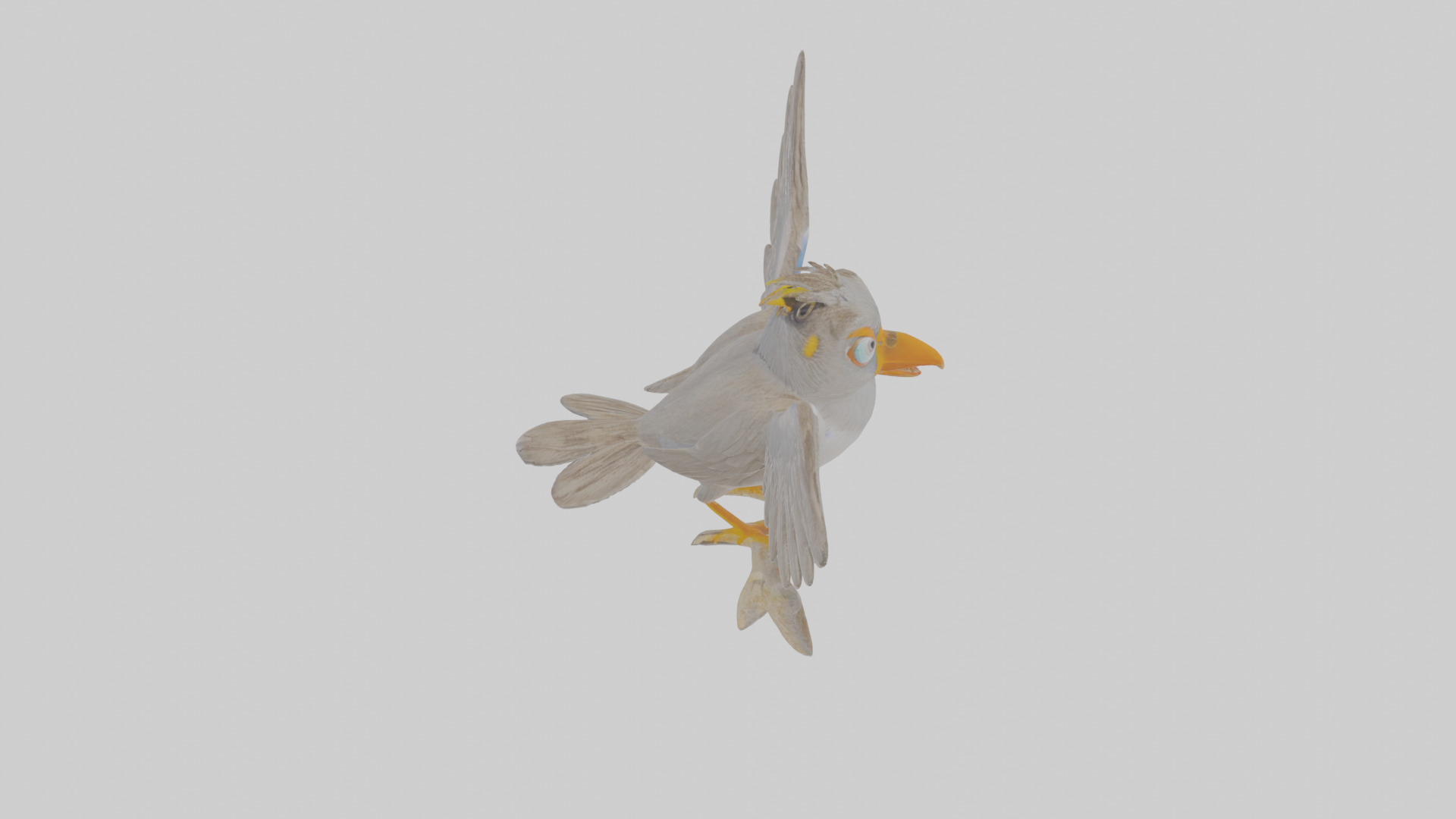 Cartoon Myna Low-poly 3D model_27