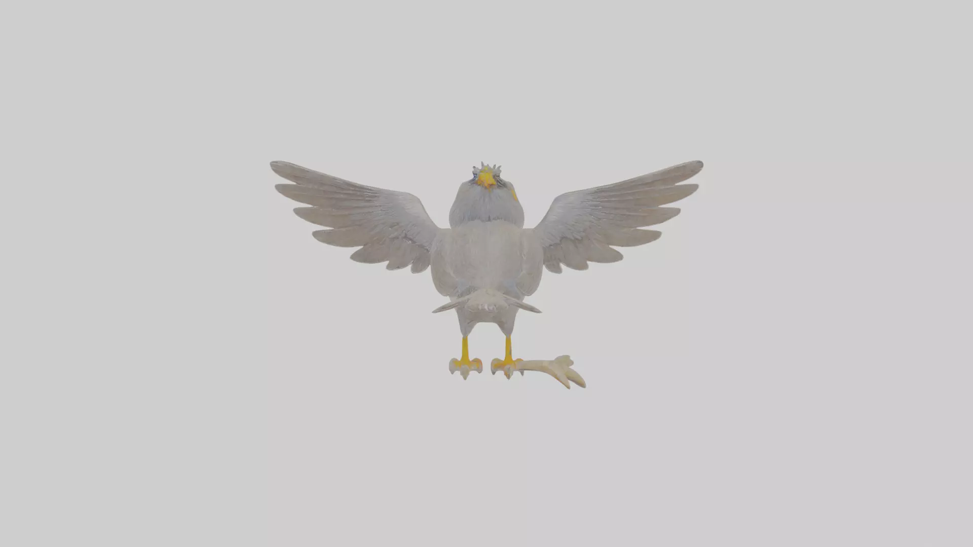 Cartoon Myna Low-poly 3D model_0