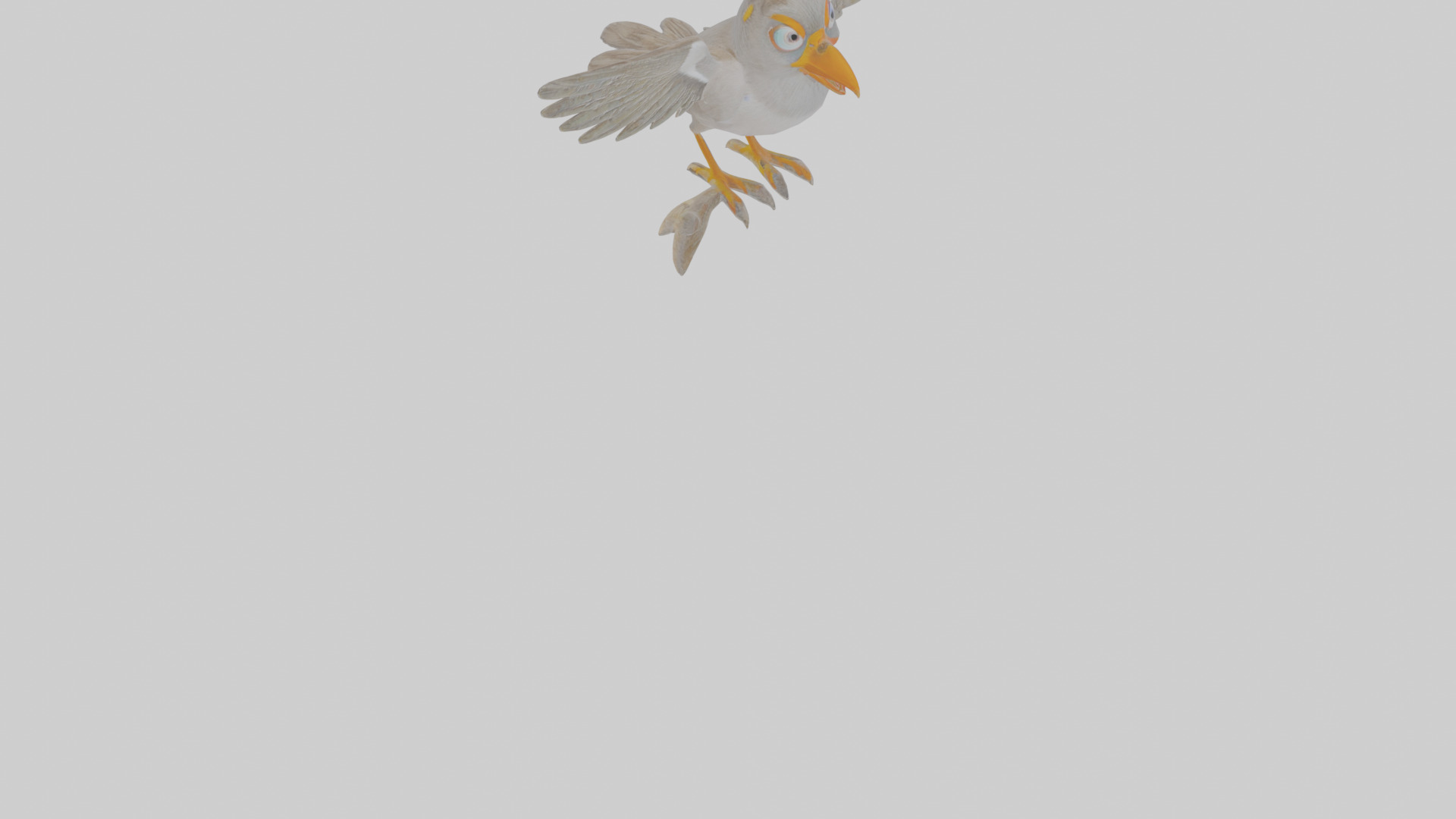 Cartoon Myna Low-poly 3D model_11
