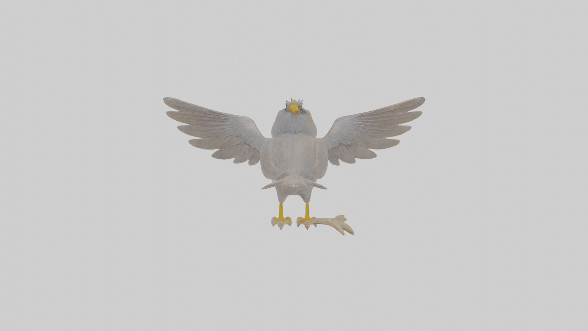 Cartoon Myna Low-poly 3D model_1