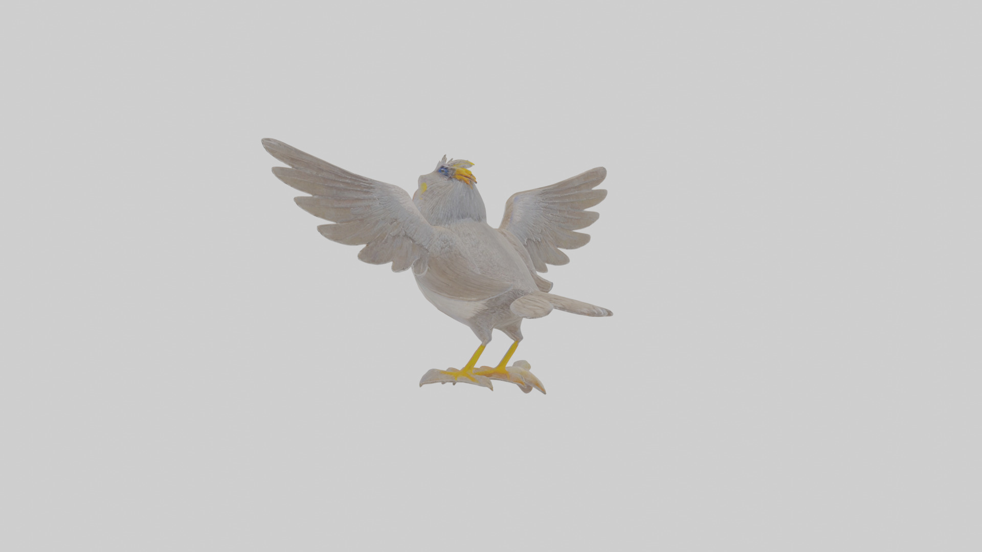 Cartoon Myna Low-poly 3D model_2