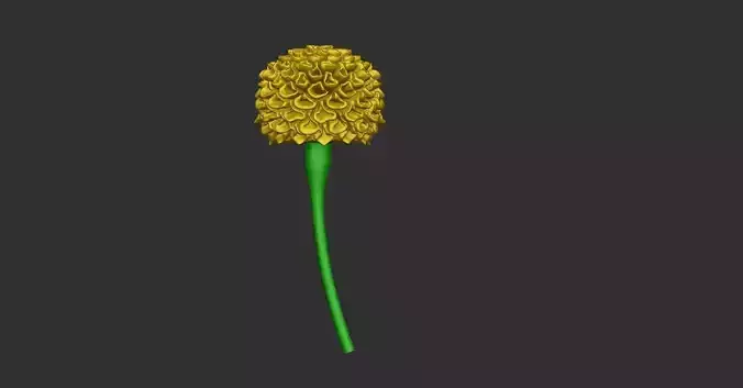 Gold Flower