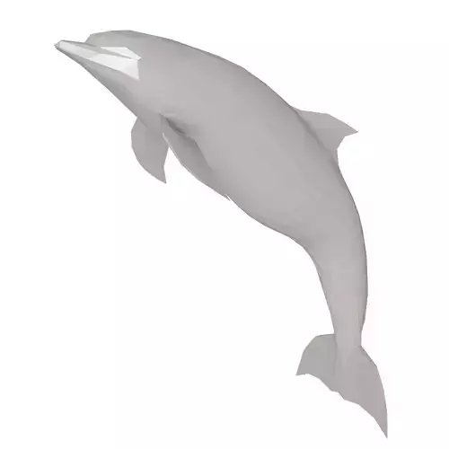 Dolphin Low Poly