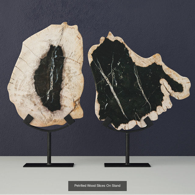 Petrified Wood Slices on Stand collection _4
