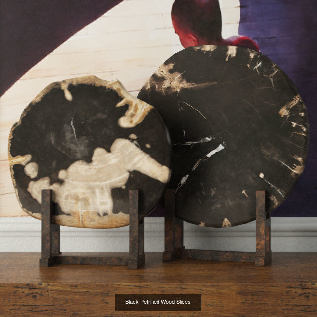 Petrified Wood Slices on Stand collection _1