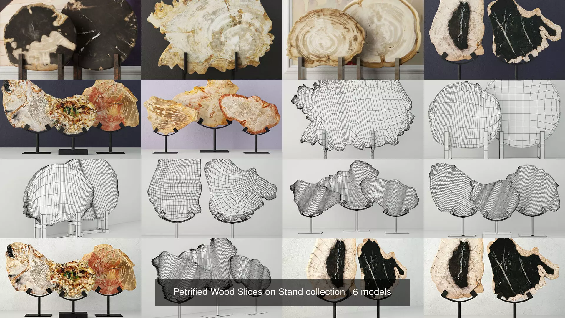 Petrified Wood Slices on Stand collection _0