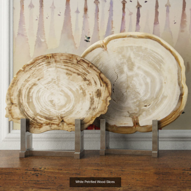 Petrified Wood Slices on Stand collection _3