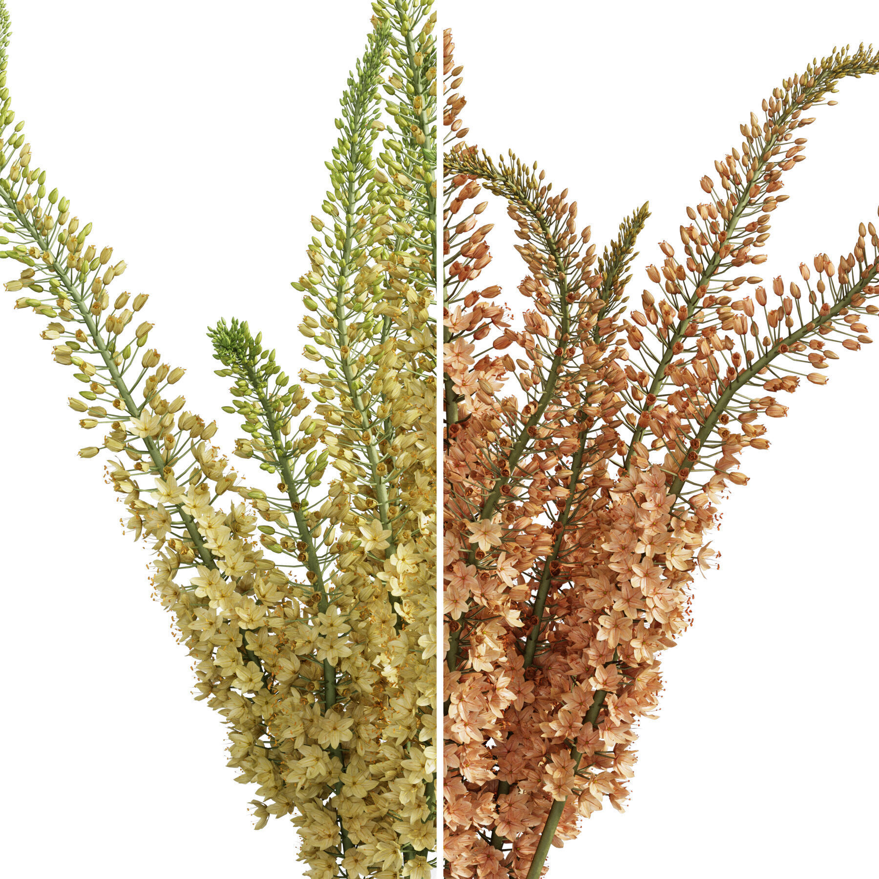 Flower In Vase 76 3D model_5