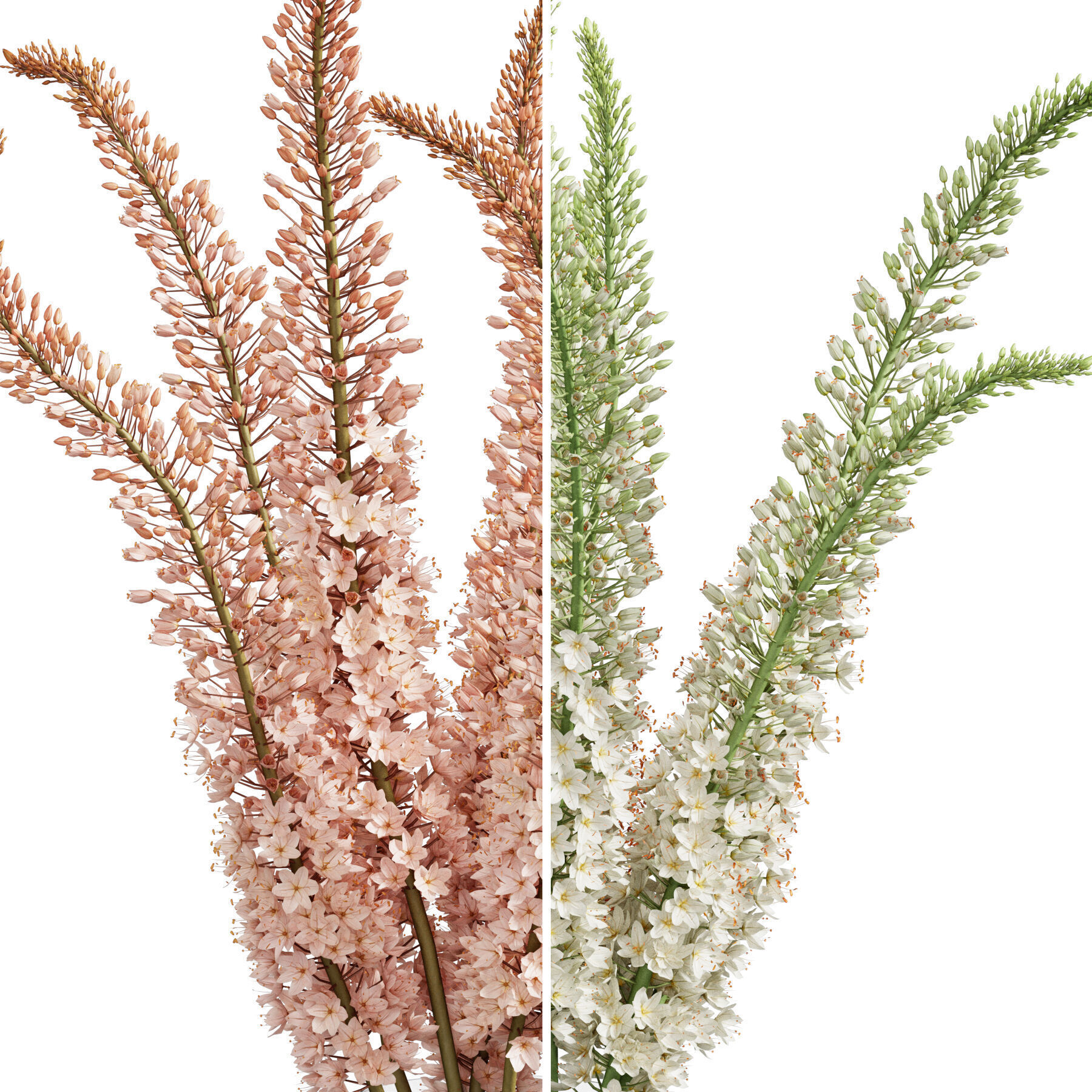 Flower In Vase 76 3D model_4