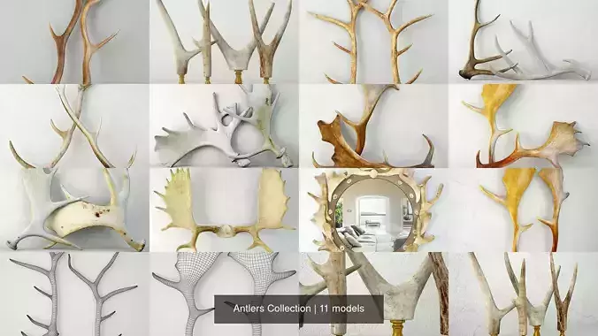 Antlers Collection 