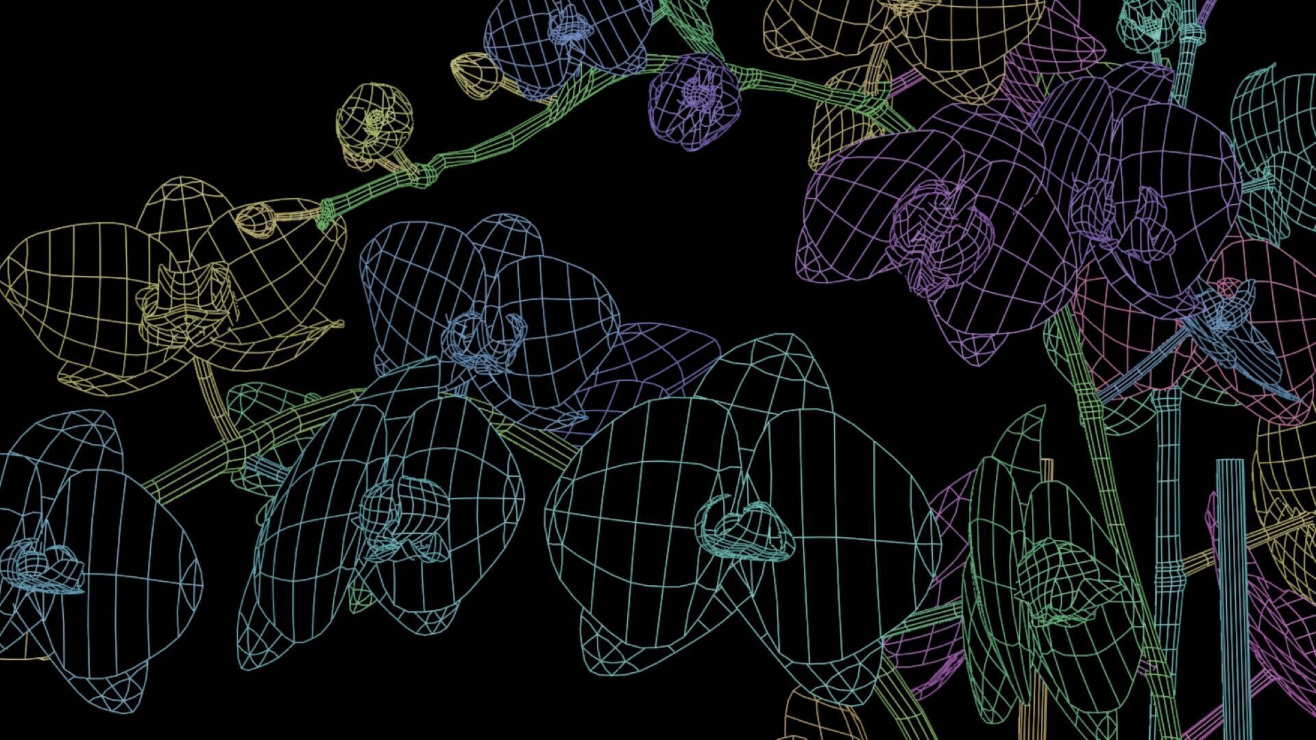 Orchid Flower Free low-poly 3D model_11