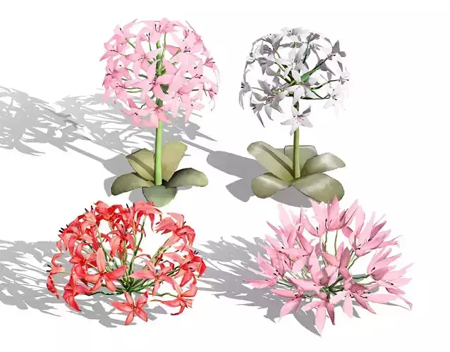 South African Candelabra Flower Low-poly 3D model