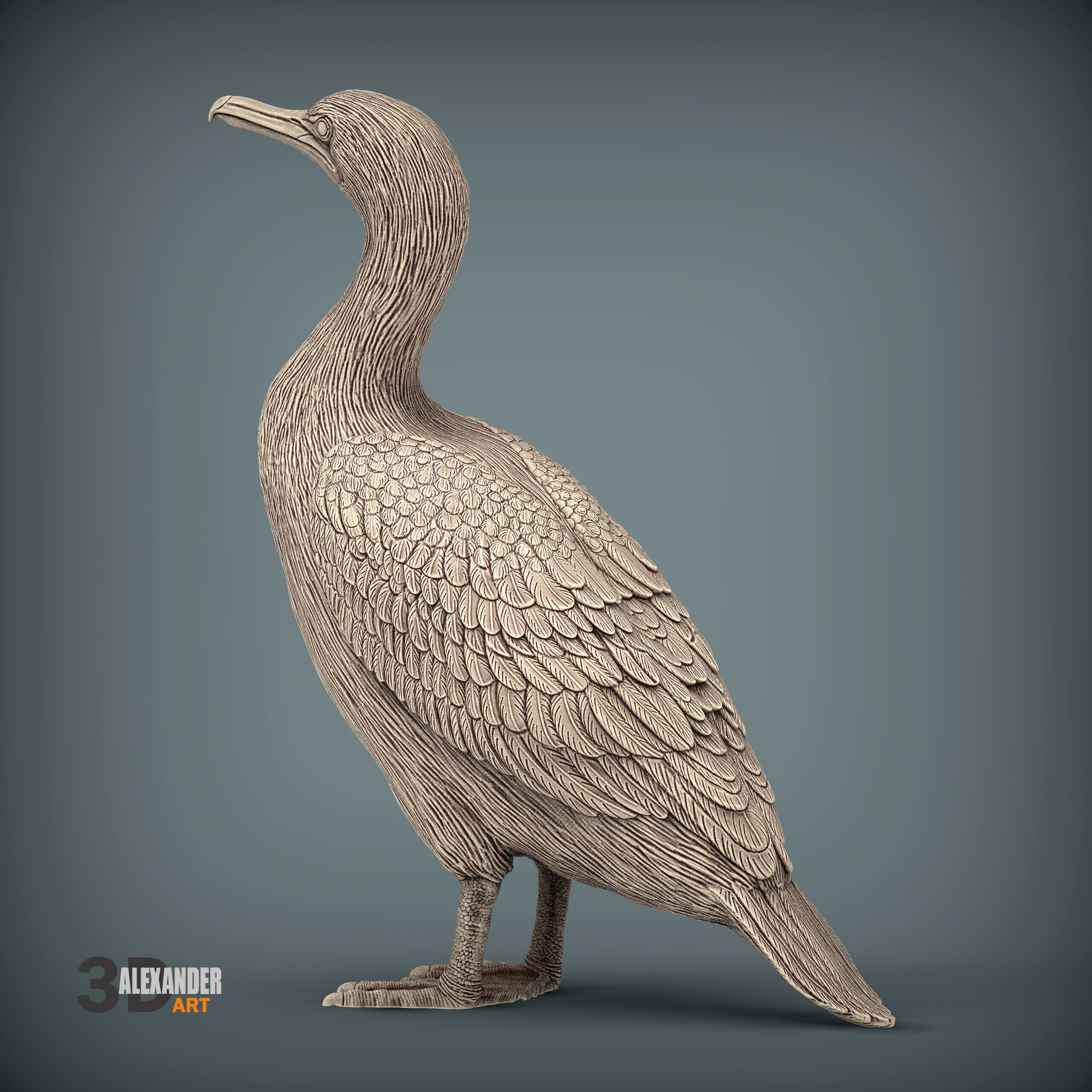 cormorant 3D print model_1