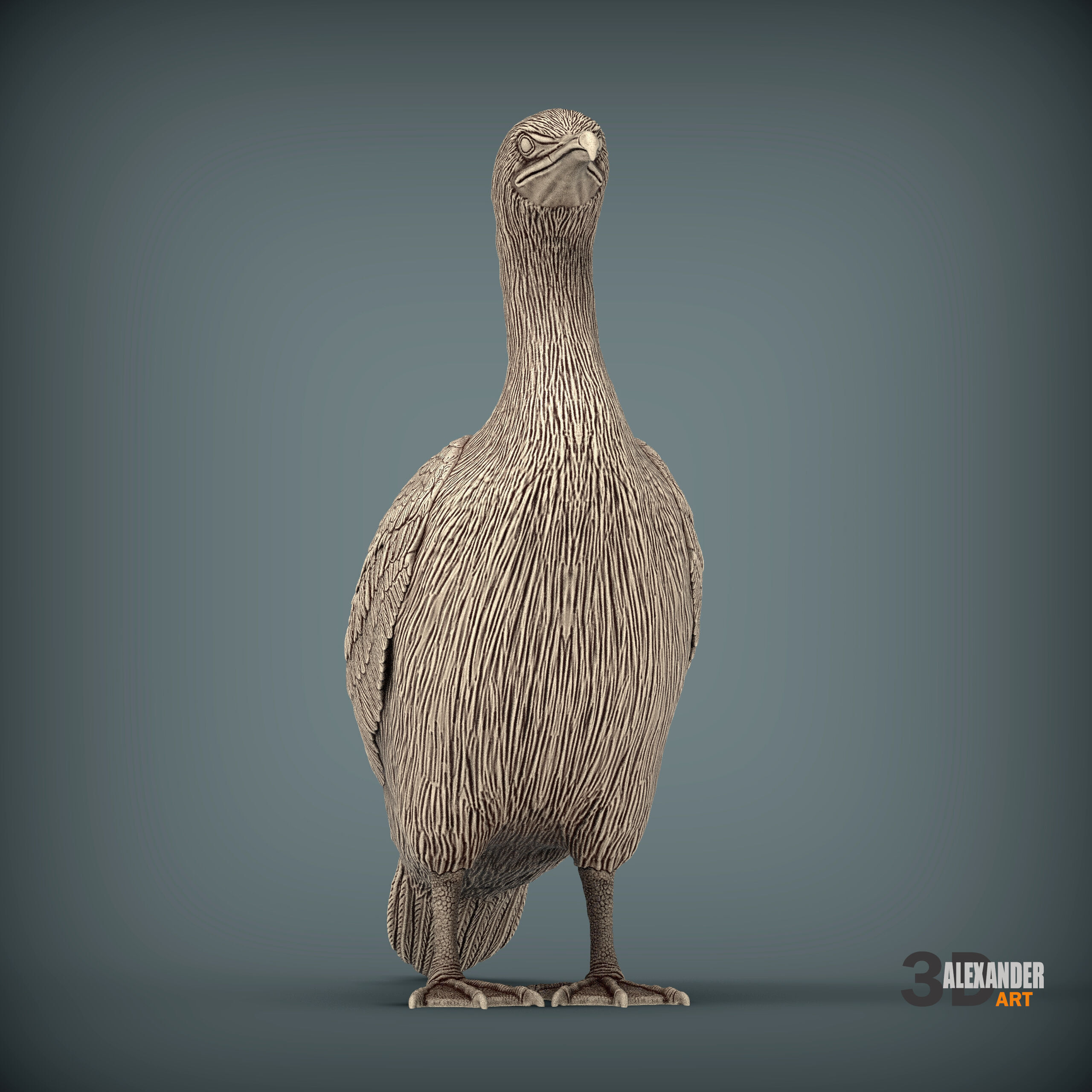cormorant 3D print model_3