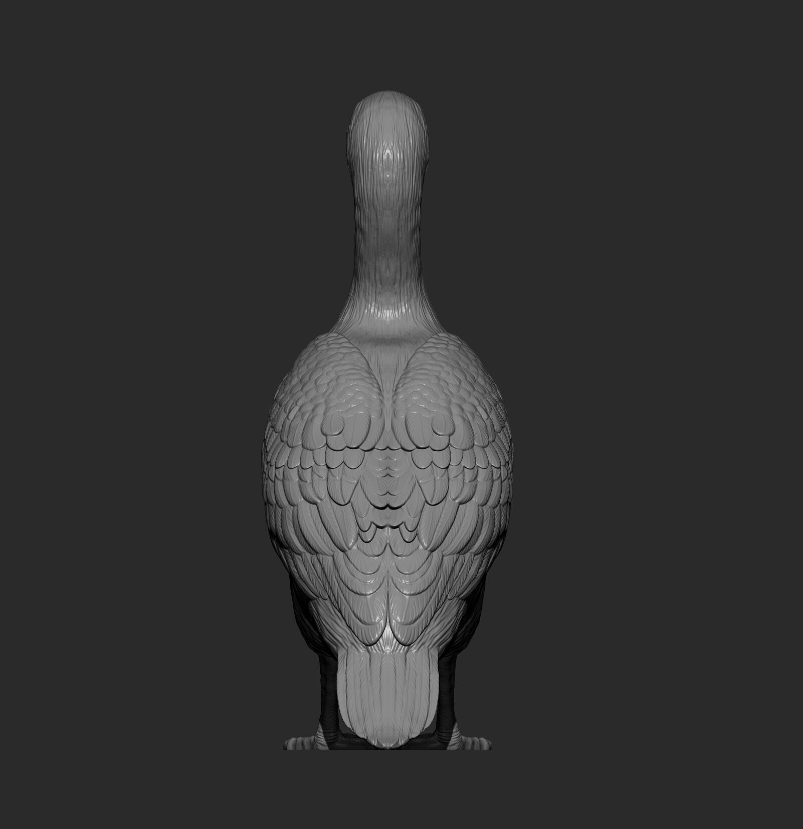 cormorant 3D print model_7