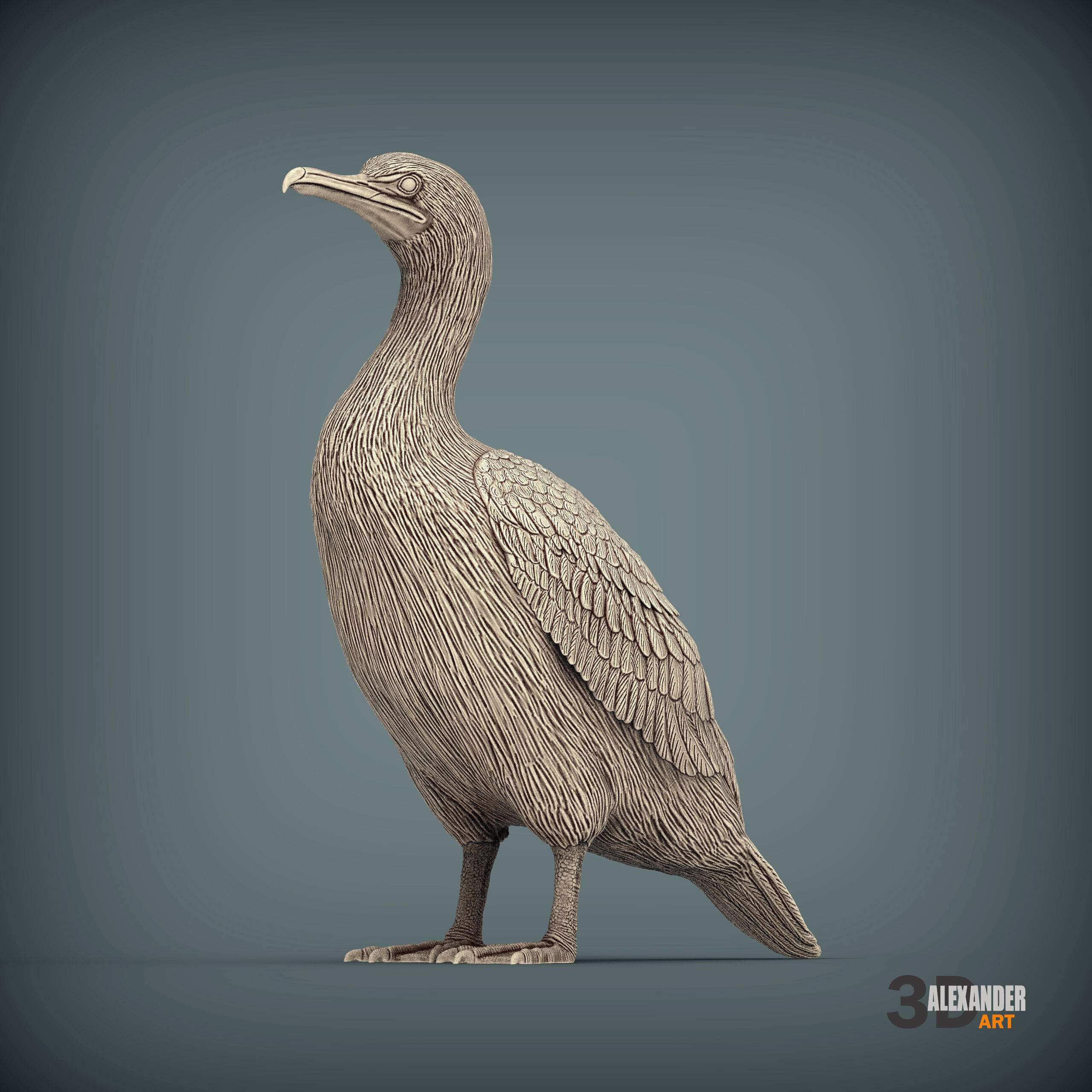 cormorant 3D print model_2