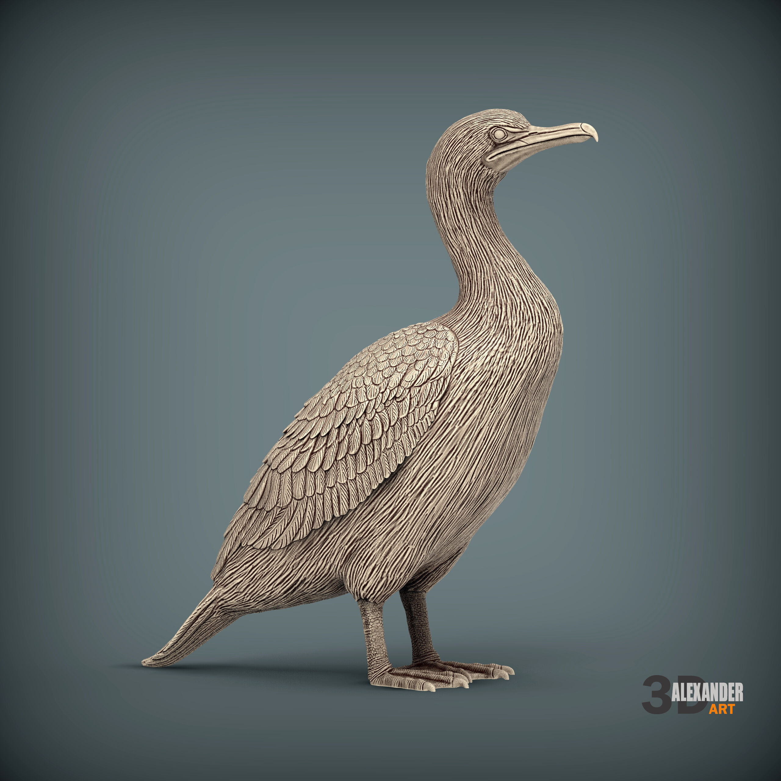 cormorant 3D print model_4