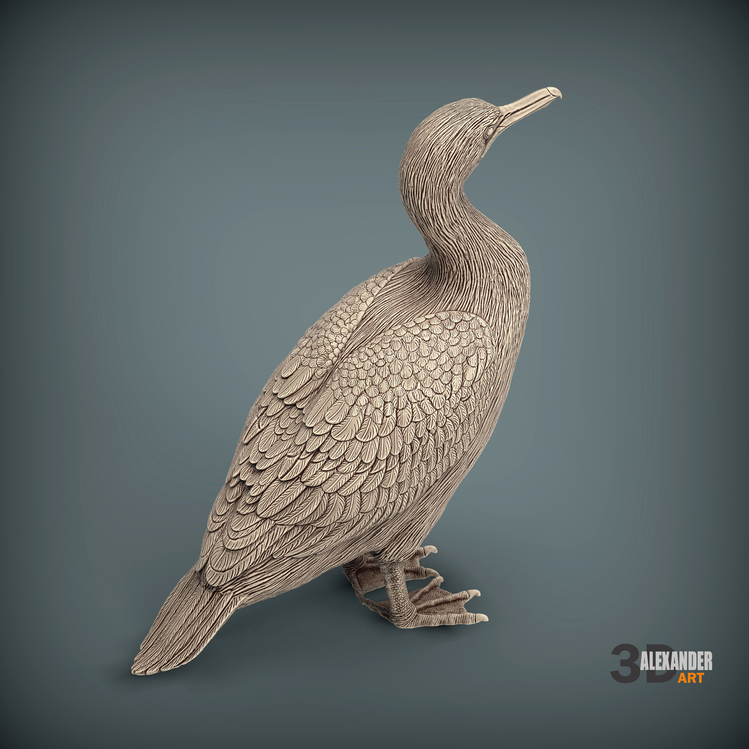 cormorant 3D print model_5