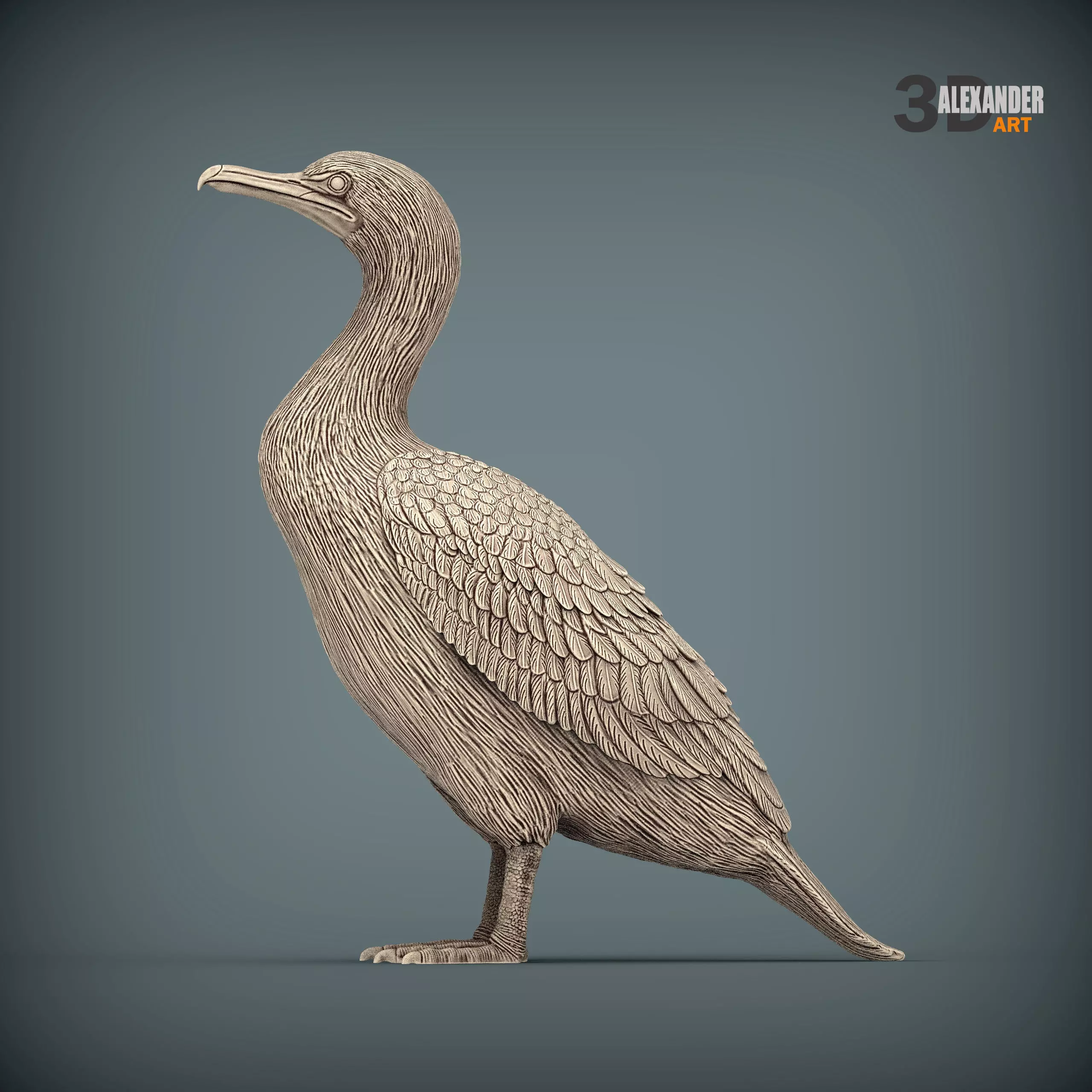 cormorant 3D print model_0