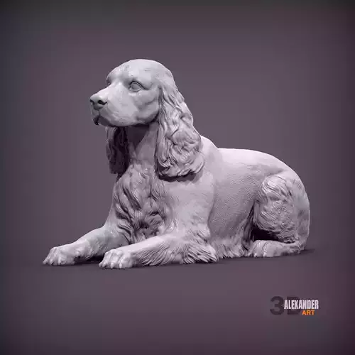 English Cocker Spaniel lying down