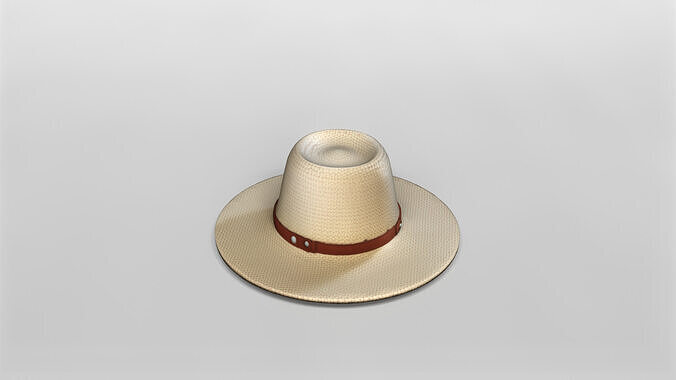 Stylish Wide-Brim Straw Hat with Leather Band 3D model