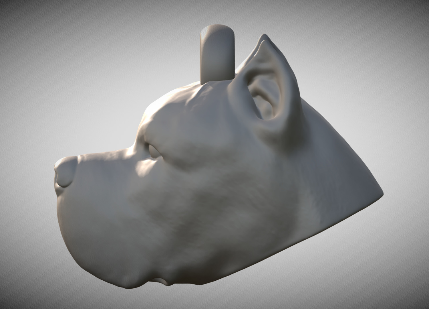 Cane Corso dog head key ring for 3D printing 3D print model_3