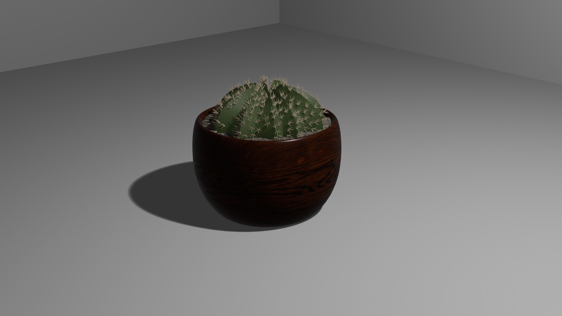 Cactus 3D model_1